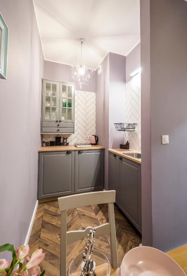 Apartament Z Ogrodkiem I Garazem Πόζναν Εξωτερικό φωτογραφία